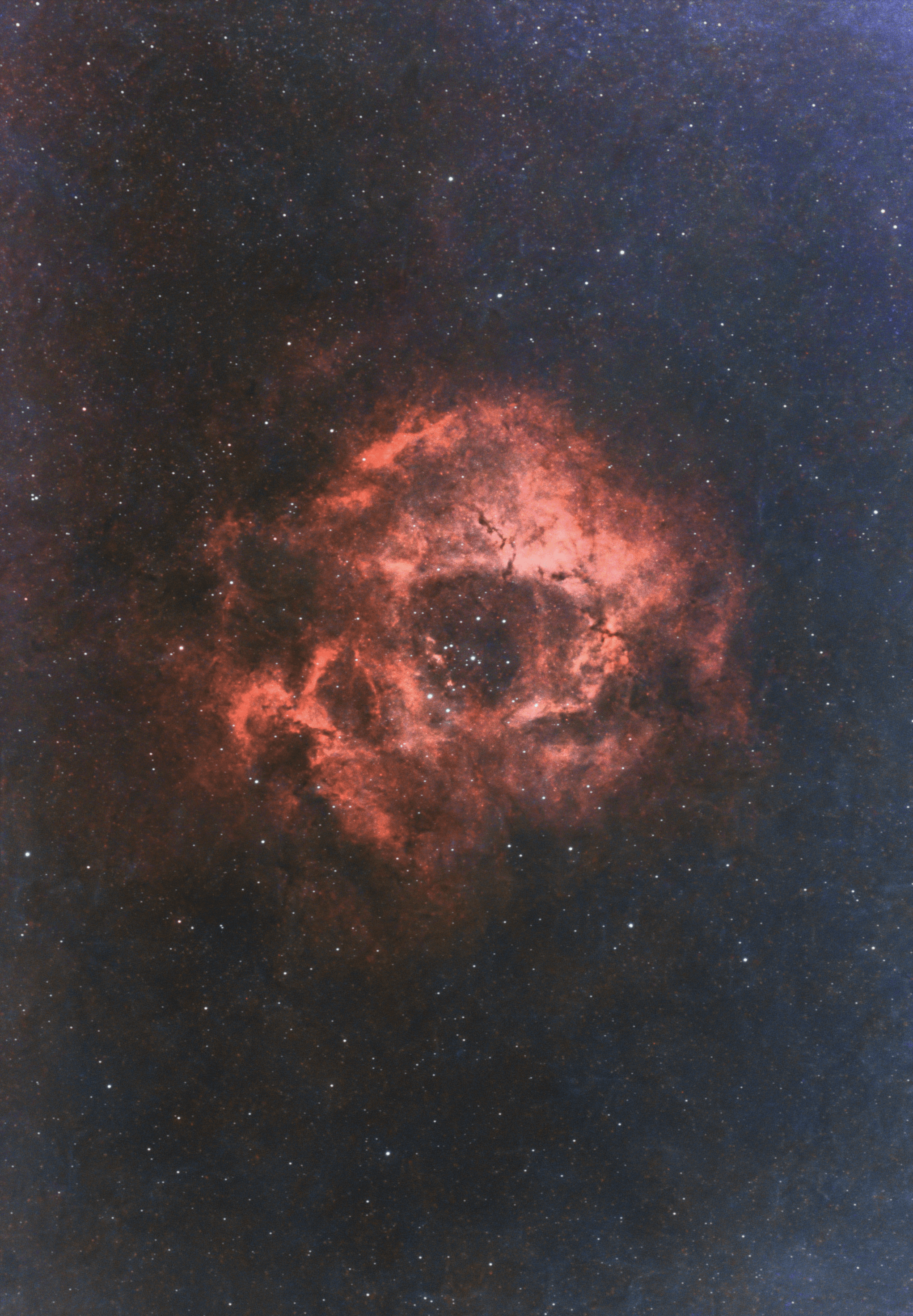 A deep-sky image of the Rosette Nebula surrounding the central open cluster NGC 2244, showing bright red hydrogen-alpha emission.