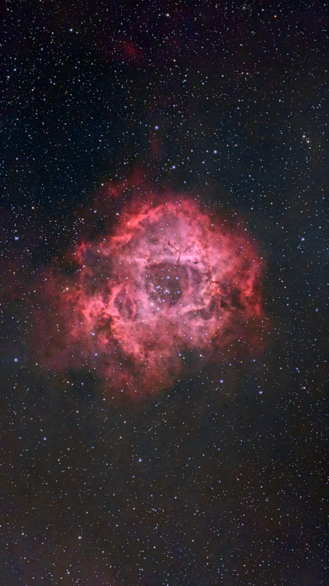 Bright red rosette nebula with the rosette cluster in the middle of the nebula.